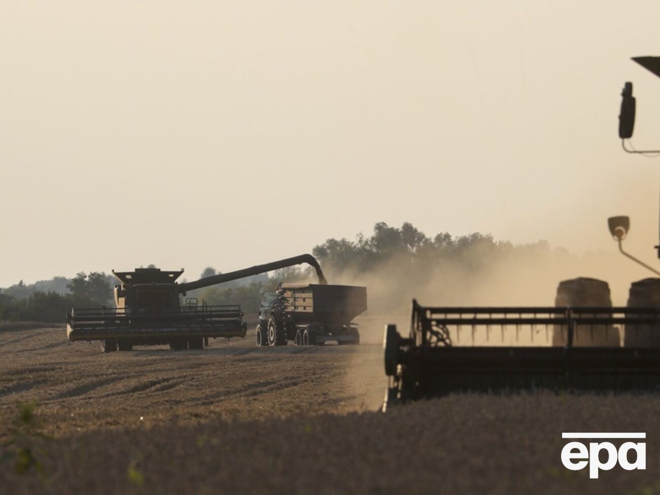 Половину зерна у країні експортують без податків – нардеп