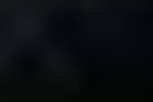 Цучико: Я просто занимаюсь сбором средств, чтобы помочь народу Украины