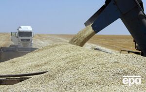 Окупанти переспрямували українське зерно з Феодосії в Керч