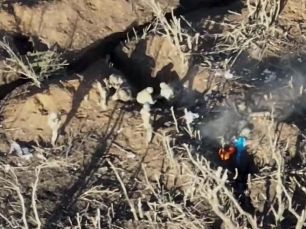 Украинские военные в ходе операции ликвидировали двух оккупантов, еще четырех взяли в плен, отметили в президентской бригаде ВСУ