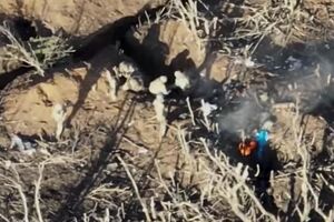 Украинские военные в ходе операции ликвидировали двух оккупантов, еще четырех взяли в плен, отметили в президентской бригаде ВСУ