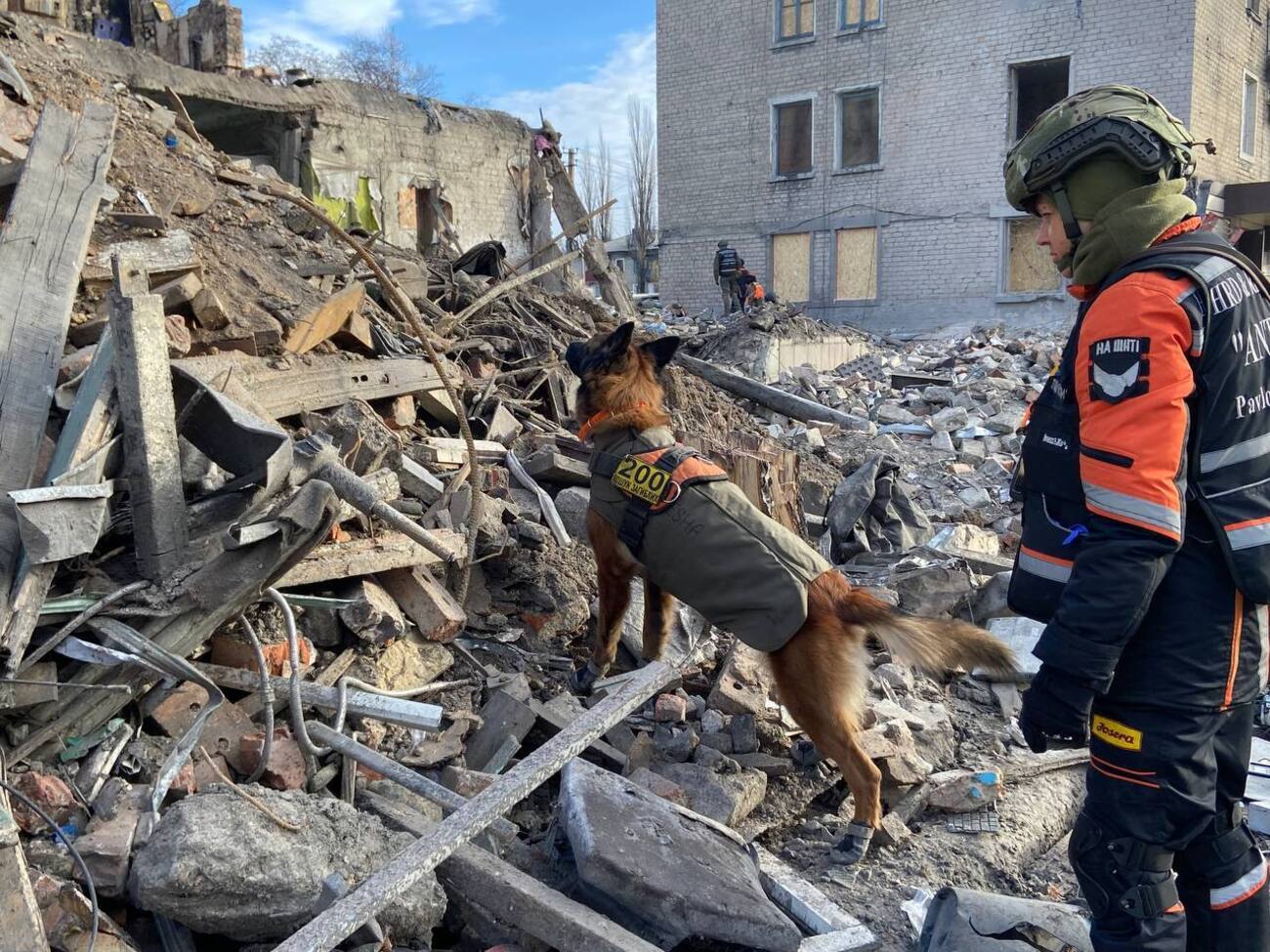 До пошуково-рятувальних робіт залучили кінологів