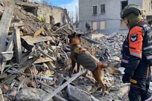 К поисково-спасательным работам привлекли кинологов