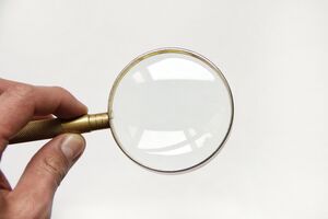 Предварительное расследование могут завершить в ближайшие дни, пишут СМИ
