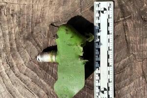 HRW считают, что такие мины разбрасывали в районе Изюма из реактивной артиллерии