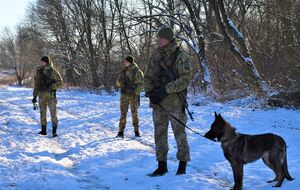 Прикордонникам довелося рятувати ухилянта в горах