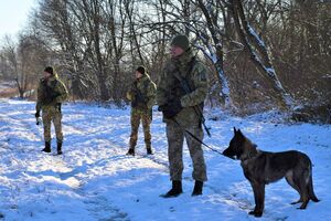 Прикордонникам довелося рятувати ухилянта в горах