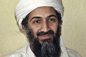 Украинские спецслужбы "содействовали процессу" поиска бен Ладена, отметил Маломуж