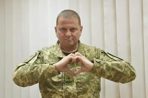 На открытке с изображением Залужного написано: "Жду нашей встречи, как прибытия "леопардов"