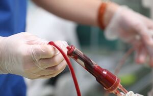 За даними Генштабу ЗСУ, додаткові станції переливання крові відкривають у Ростовській, Бєлгородській і Воронезькій областях Росії