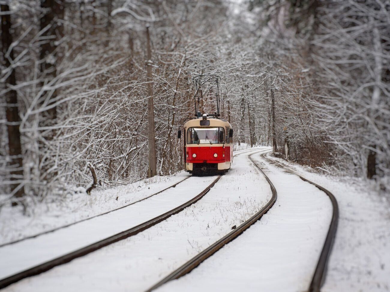 Список робочих трамвайних і тролейбусних маршрутів опублікувала КМДА