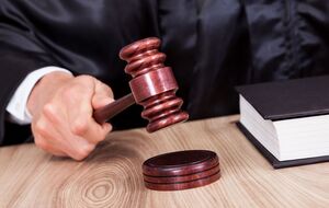 Приговор может быть обжалован в течение 30 дней