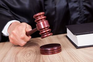 Приговор может быть обжалован в течение 30 дней