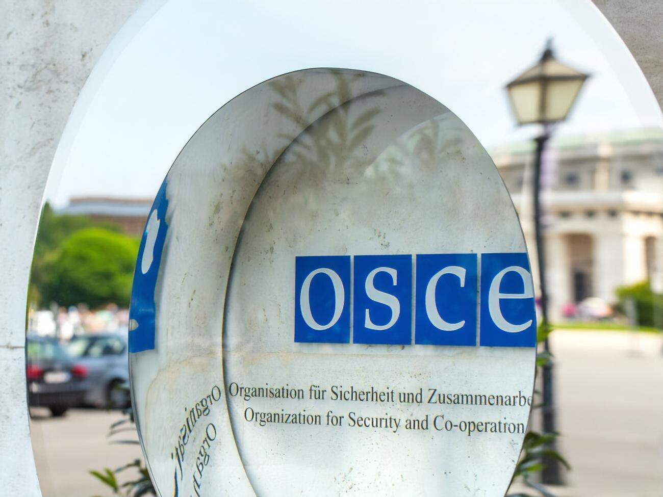 Украинская делегация отправится в Вену, но участвовать в сессии не будет