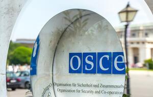 Украинская делегация отправится в Вену, но участвовать в сессии не будет