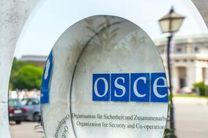 Українська делегація вирушить до Відня, але брати участь у сесії не буде