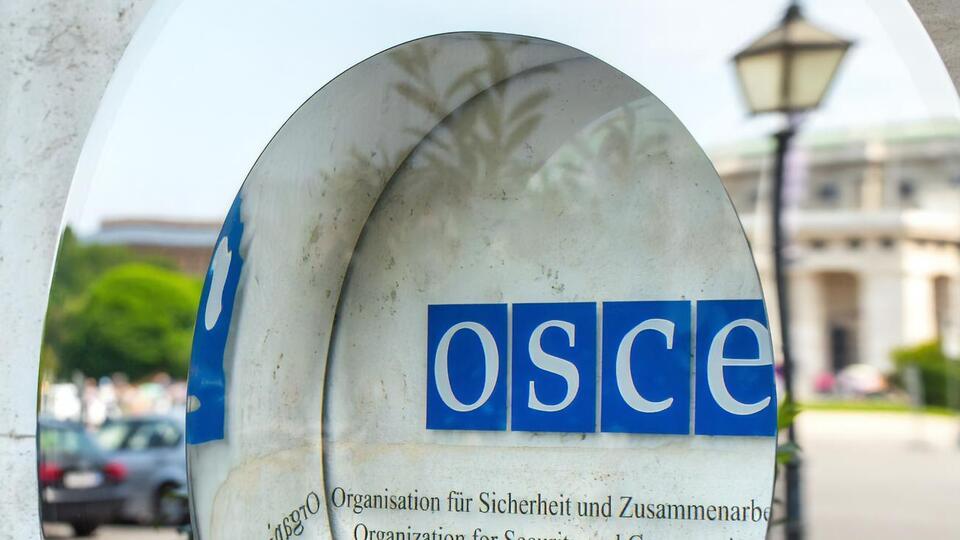 Украинская делегация отправится в Вену, но участвовать в сессии не будет
