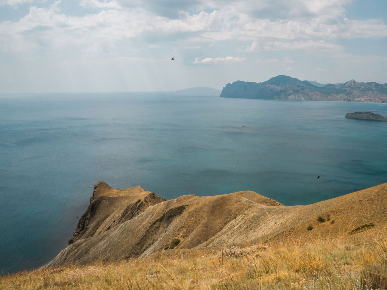 Официально в Пентагоне отмечают, что действия Украины в отражении российской агрессии и деоккупации территорий "говорят сами за себя"