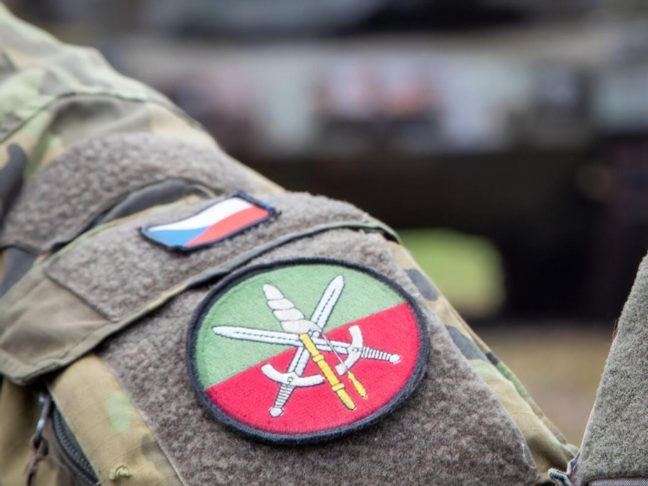 Ржегка&nbsp;закликав модернізувати армію Чехії