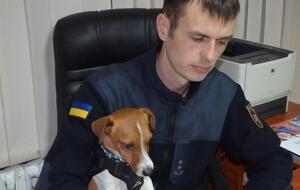 Пес Патрон служит со своим хозяином, пиротехником Михаилом Ильевым