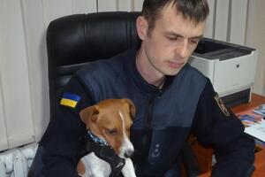 Пес Патрон служит со своим хозяином, пиротехником Михаилом Ильевым