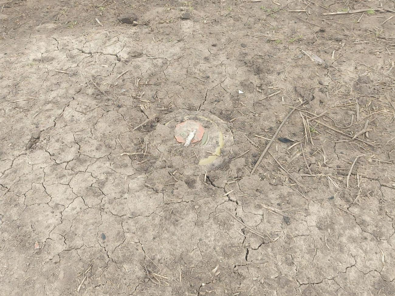 Развязанная Россией война привела к образованию в Украине самого большого в мире минного поля