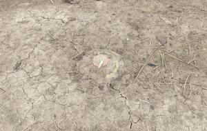 Развязанная Россией война привела к образованию в Украине самого большого в мире минного поля