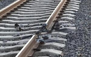 Рейки пошкодили 23 лютого