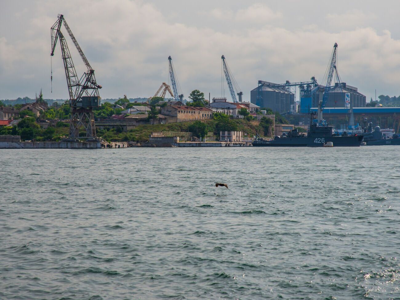 Зерно, за даними прокуратури, вивозили через порт Севастополя