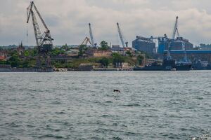 Зерно, за даними прокуратури, вивозили через порт Севастополя