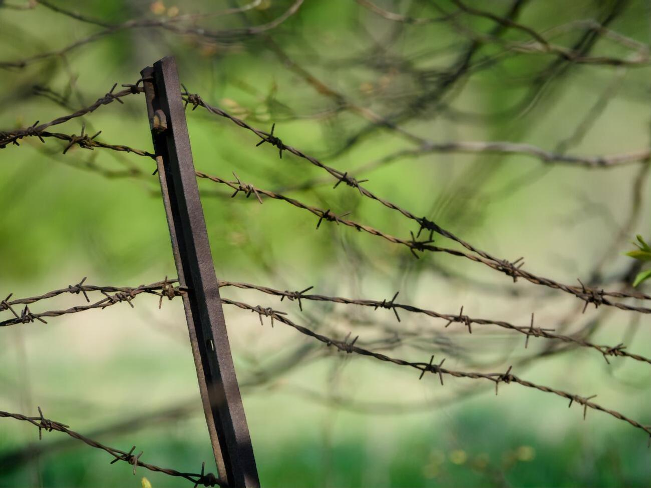 Проєкт передбачає будівництво паркану на кордоні Латвії та Білорусі завдовжки 173 км