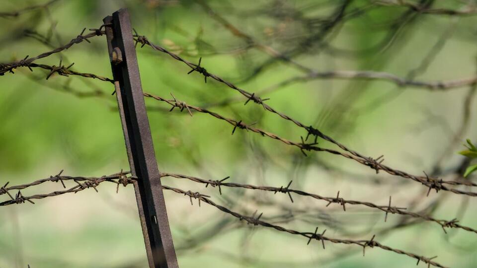 Проект предусматривает строительство забора на границе Латвии и Беларуси протяженностью 173 км