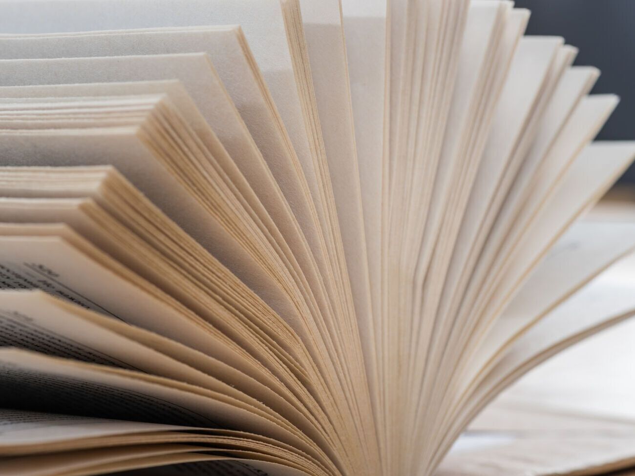 На захваченных территориях оккупанты изымают книги из общих и школьных библиотек