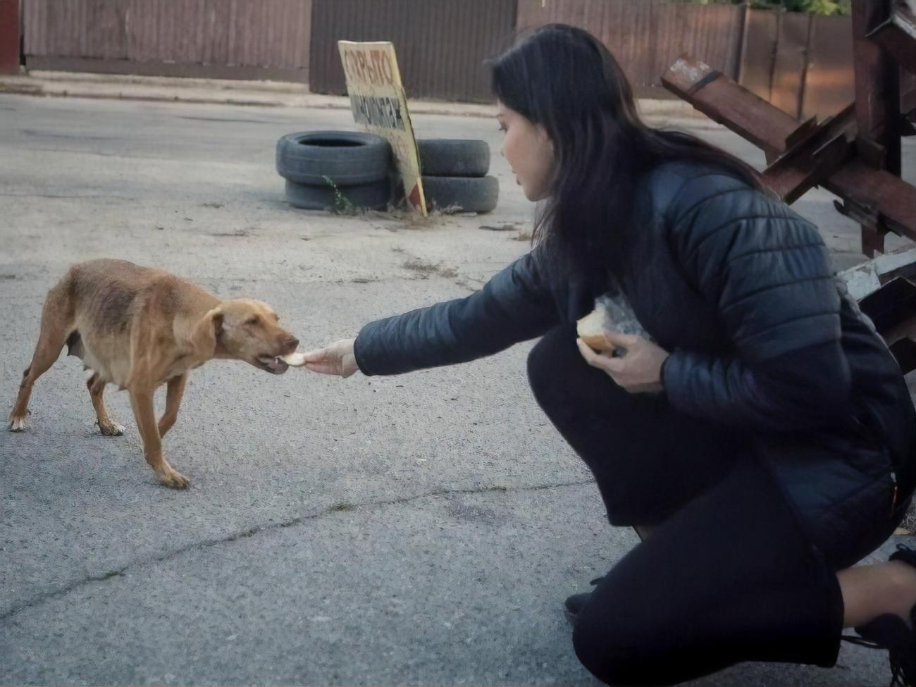 Дмитрієва: Це шокує: куди не приїжджаю&nbsp;&ndash; скрізь багато дітей