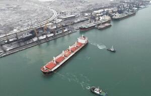 В январе Украина вывезла на 25% зерна меньше, чем в декабре. Инфографика от Мининфраструктуры