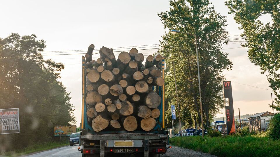 За даними прокуратури, у лісництві незаконно вирубували дерева