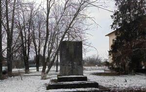 Бюст стоял в селе Веселый Подол