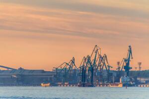 Украинские власти неоднократно заявляли о саботаже Россией работы "зернового коридора"