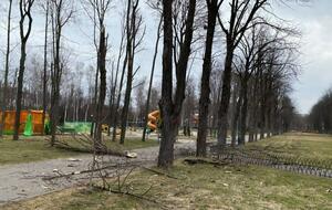 Россияне неоднократно обстреливали харьковский Центральный парк имени Горького