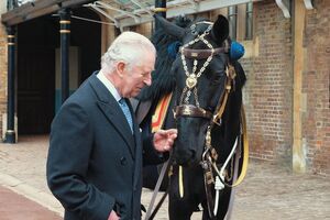 Чарльз III впервые встретился с Ноубл в начале прошлой недели