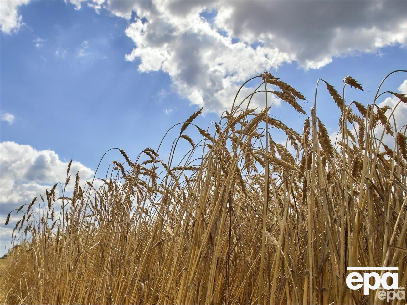 У Туреччині кажуть, що експорт зерна з України продовжать