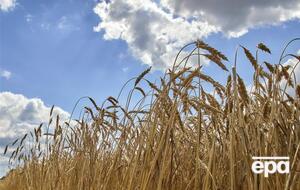 В Турции говорят, что экспорт зерна из Украины будет продлен