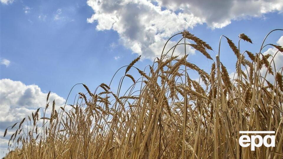 У Туреччині кажуть, що експорт зерна з України продовжать