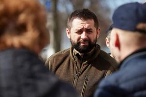 Глава фракции "Слуга народа" заявил, что Грузия полна агентами России