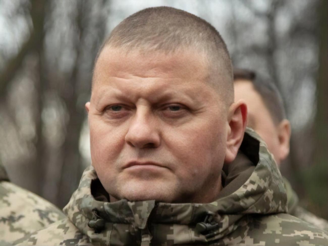 Залужний: Сьогодні всі ми як ніколи згуртовані й боремося за свою незалежність