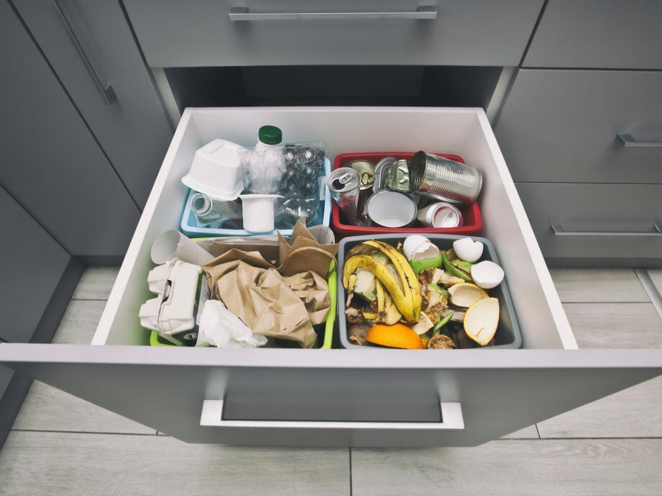 Економіст нагадав, що в ЄС є директиви, регламенти й інструкції з ілюстраціями щодо поводження з відходами