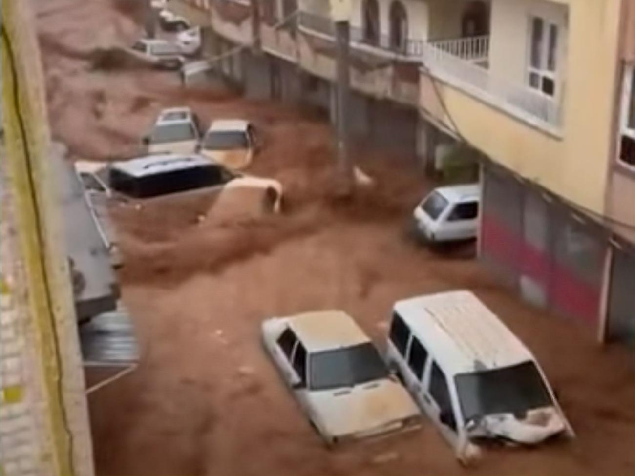 Из берегов вышли ручьи