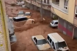 Из берегов вышли ручьи