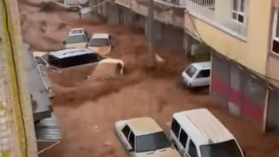 Из берегов вышли ручьи