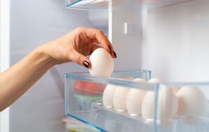 Эксперт не рекомендует мыть яйца, которые будут храниться в холодильнике